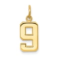 thumbnail image 1 of 14k Yellow Gold Casted Small Polished Number 9 Charm Pendant, 1 of 7