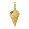 thumbnail image 1 of 14k Yellow Gold Conch Shell Pendant - 2.2 Grams - Measures 30x11mm Wide, 1 of 2
