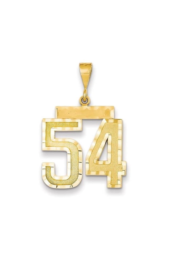 14k Yellow Gold Diamond Cut Texture Finish Large Size Number 54 Charm Pendant