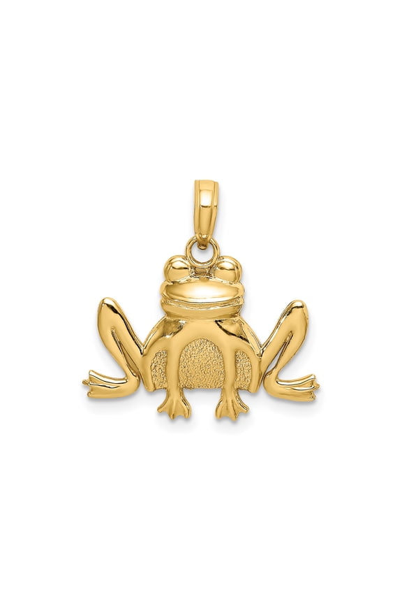 14k Yellow Gold Frog Pendant for Women or Unisex, Detailed Animal Charm Symbolizing Luck, Transformation, and Fertility, Nature Jewelry Necklace for Amphibian or Totem Collectors