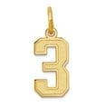 thumbnail image 1 of 14k Yellow Gold Laser-cut Small Satin Sport game Number 3 Charm 18.6x7.5mm Pendant Necklace for Women, 1 of 2