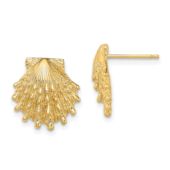 14k Yellow Gold Lion's Paw Shell Post Earrings