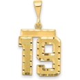 thumbnail image 1 of 14k Yellow Gold Medium Diamond-cut Number 19 Charm, 1 of 3