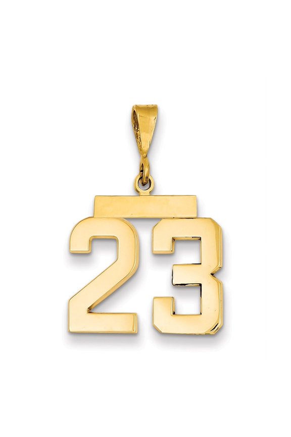 14k Yellow Gold Medium Polished Number 23 Charm Pendant