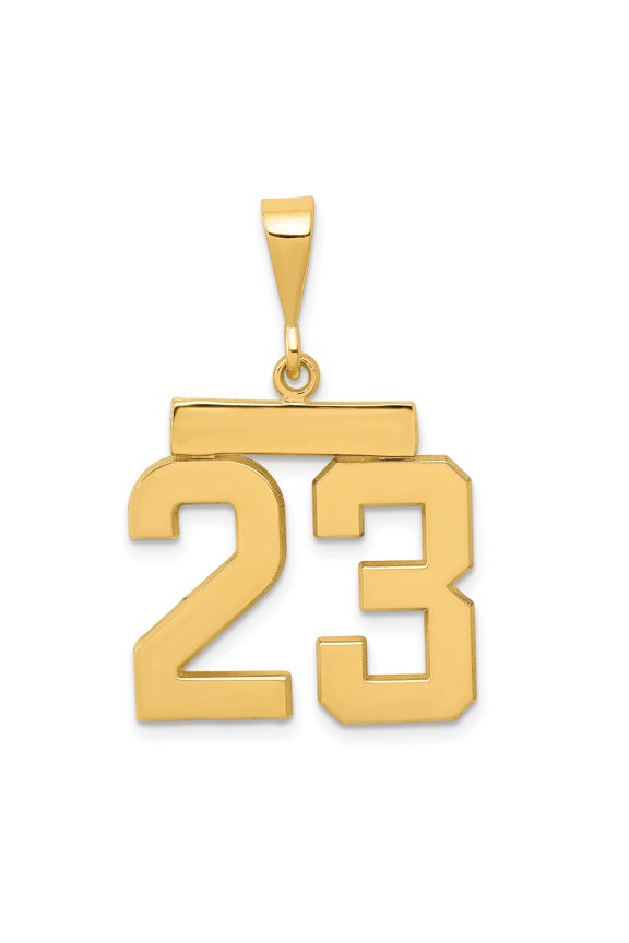 14k Yellow Gold Medium Polished Number 23 Charm Pendant