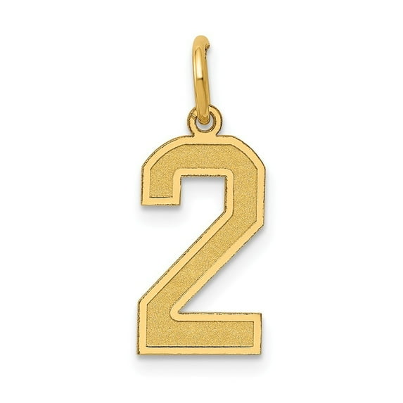 14k Yellow Gold Medium Satin Number 2 Charm - .7 Grams - Measures 19.9x8.5mm