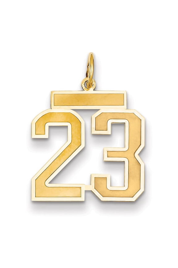 14k Yellow Gold Medium Satin Number 23 Charm Pendant