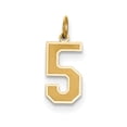 thumbnail image 1 of 14k Yellow Gold Medium Satin Number 5 Charm, 1 of 3