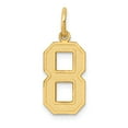 thumbnail image 1 of 14k Yellow Gold Medium Satin Number 8 Charm, 1 of 3