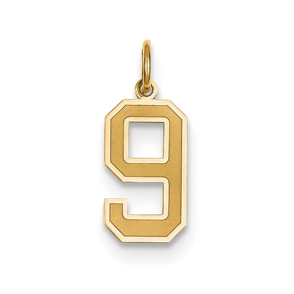 14k Yellow Gold Medium Satin Number 9 Charm