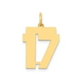 thumbnail image 1 of 14k Yellow Gold Number 17 Pendant for Men and Women, Block Style Unisex Necklace Charm for Anniversary, Sports, Birthdate, Milestone, or Everyday Wear, 1 of 6