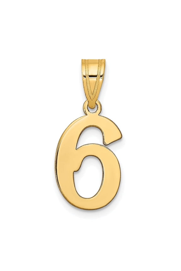 14k Yellow Gold Polished Finish Number 6 Charm Pendant