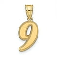 thumbnail image 1 of 14k Yellow Gold Polished Finish Script Design Number 9 Charm Pendant, 1 of 2