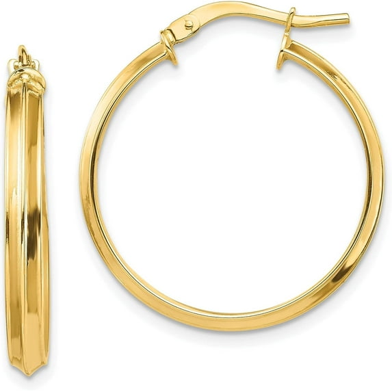 14k Yellow Gold Polished Large 3.2mm Hoop Earrings