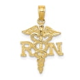 thumbnail image 1 of 14k Yellow Gold Polished R.N. Pendant, 1 of 4