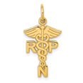 thumbnail image 1 of 14k Yellow Gold Registered Nurse Practitioner Charm, 1 of 4