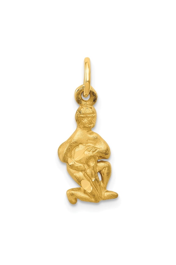 14k Yellow Gold Satin Diamond-cut Aquarius Zodiac Charm Pendant