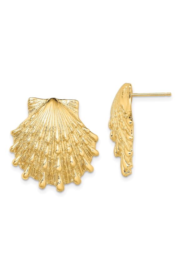 14k Yellow Gold Scallop Seashell Stud Earrings, Polished Coastal Jewelry for Women
