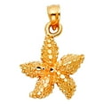thumbnail image 1 of 14k Yellow Gold Sea shell Nautical Starfish Pendant Necklace 15x15mm Pendant for Women - 1.5 Grams, 1 of 2