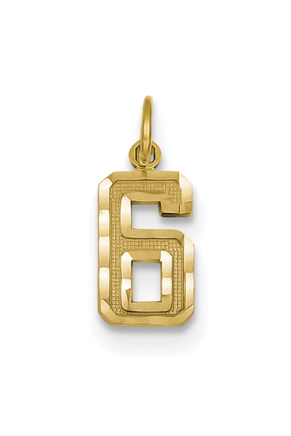 14k Yellow Gold Small Brushed Diamond-cut Number 6 Charm Pendant