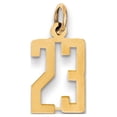thumbnail image 1 of 14k Yellow Gold Small Elongated Number 23 Charm Pendant, 1 of 1