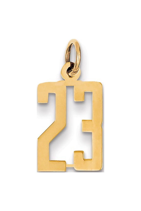 14k Yellow Gold Small Elongated Number 23 Charm Pendant