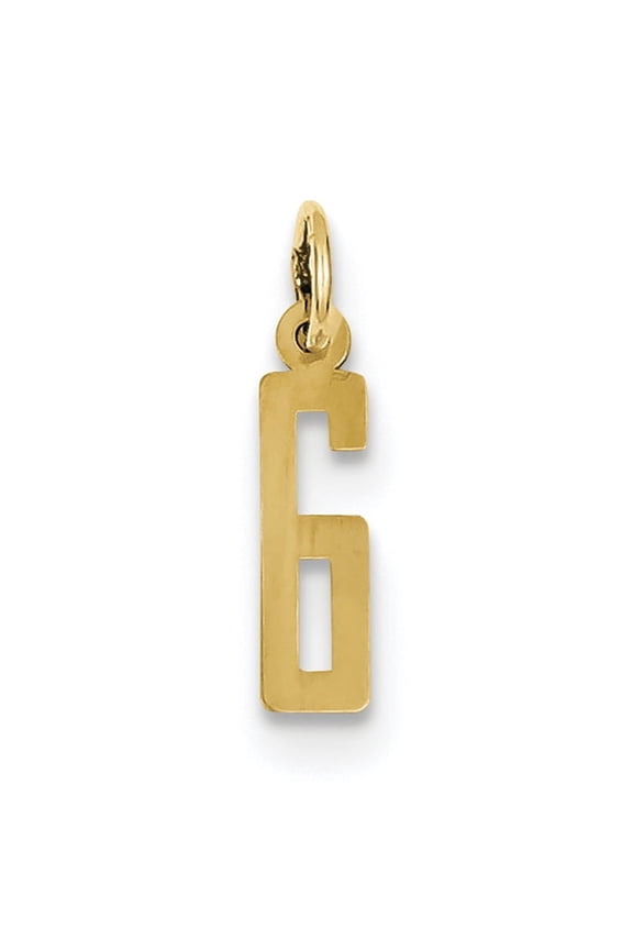 14k Yellow Gold Small Elongated Number 6 Charm Pendant