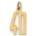 thumbnail image 1 of 14k Yellow Gold Small Polished Elongated 40 Charm, 1 of 2