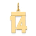 thumbnail image 1 of 14k Yellow Gold Small Polished Number 14 Charm Pendant, 1 of 1