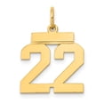 thumbnail image 1 of 14k Yellow Gold Small Polished Number 22 Charm Pendant, 1 of 1