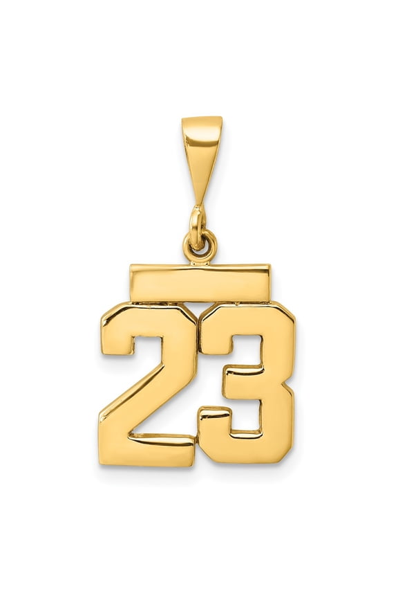 14k Yellow Gold Small Polished Number 23 Charm Pendant