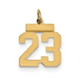 thumbnail image 1 of 14k Yellow Gold Small Polished Number 23 Charm, 1 of 3