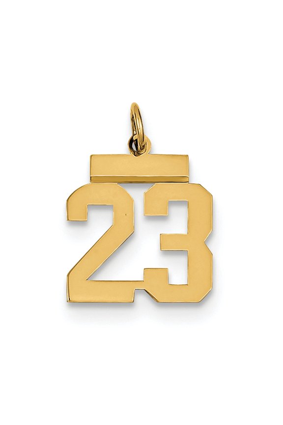 14k Yellow Gold Small Polished Number 23 Charm