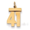 thumbnail image 1 of 14k Yellow Gold Small Polished Number 41 Charm Pendant, 1 of 3