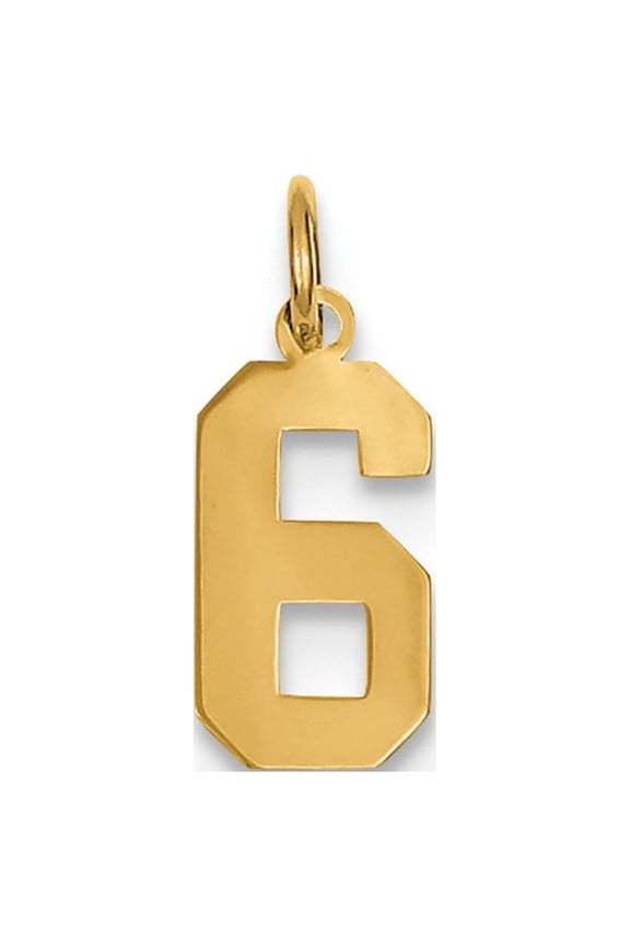 14k Yellow Gold Small Polished Number 6 Charm