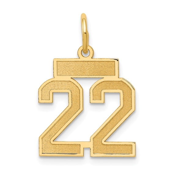 14k Yellow Gold Small Satin Number 22 Charm