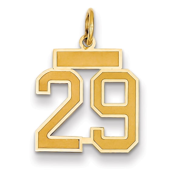 14k Yellow Gold Small Satin Number 29 Charm Pendant