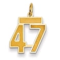 thumbnail image 1 of 14k Yellow Gold Small Satin Number 47 Charm Pendant, 1 of 1