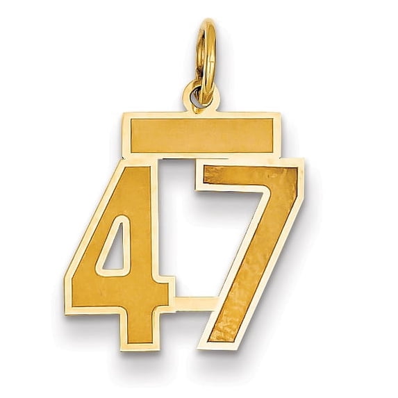 14k Yellow Gold Small Satin Number 47 Charm Pendant