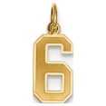 thumbnail image 1 of 14k Yellow Gold Small Satin Number 6 Charm, 1 of 3