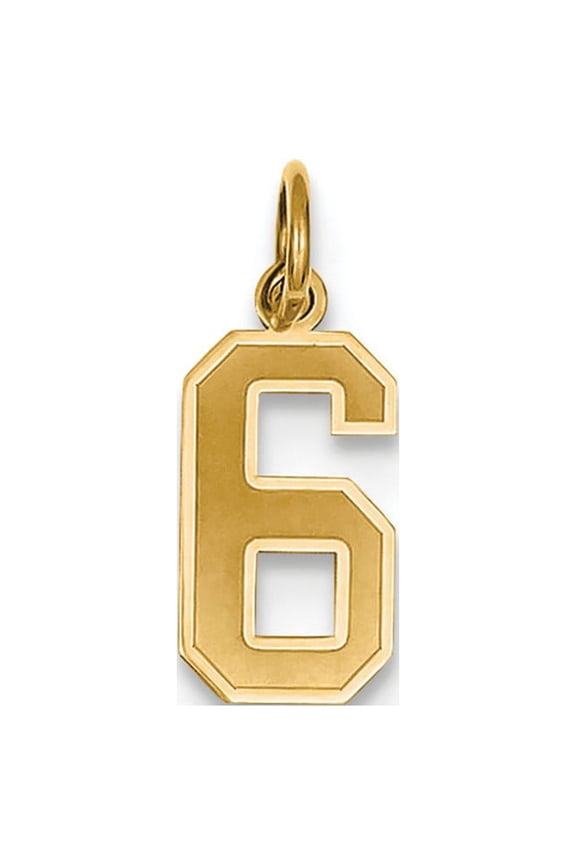 14k Yellow Gold Small Satin Number 6 Charm