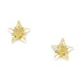 thumbnail image 1 of 14k Yellow Gold Small Star Screw-Back Earrings - Measures 7x7mm, 1 of 2