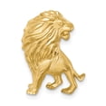 thumbnail image 1 of 14k Yellow Gold Solid Brushed & Diamond-cut Lion Chain Slide Charm Pendant, 1 of 7