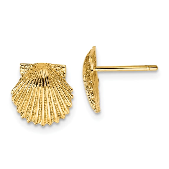 14k Yellow Gold Solid Scallop Shell Post Earrings