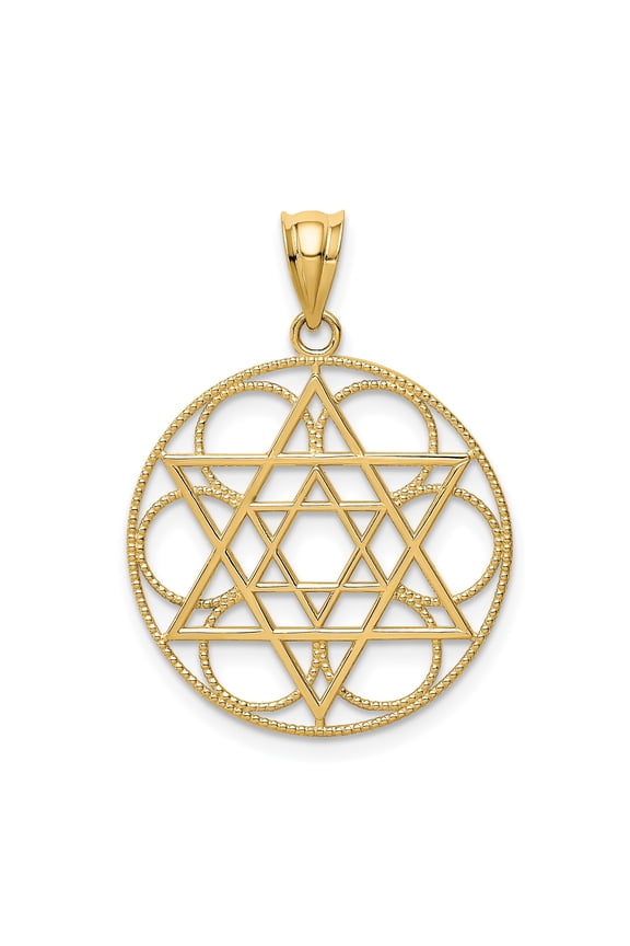 14k Yellow Gold Star of David Pendant Necklace for Women or Unisex, Circular Jewish Medallion, Spiritual Religious Symbol Jewelry