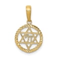 thumbnail image 1 of 14k Yellow Gold Star of David and Chai in Circle Pendant Charm, 1 of 1