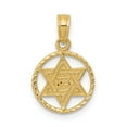 thumbnail image 1 of 14k Yellow Gold Star of David in Circle Frame Pendant Charm, 1 of 4