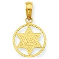 thumbnail image 1 of 14k Yellow Gold Star of David in Circle Frame Pendant, 1 of 4
