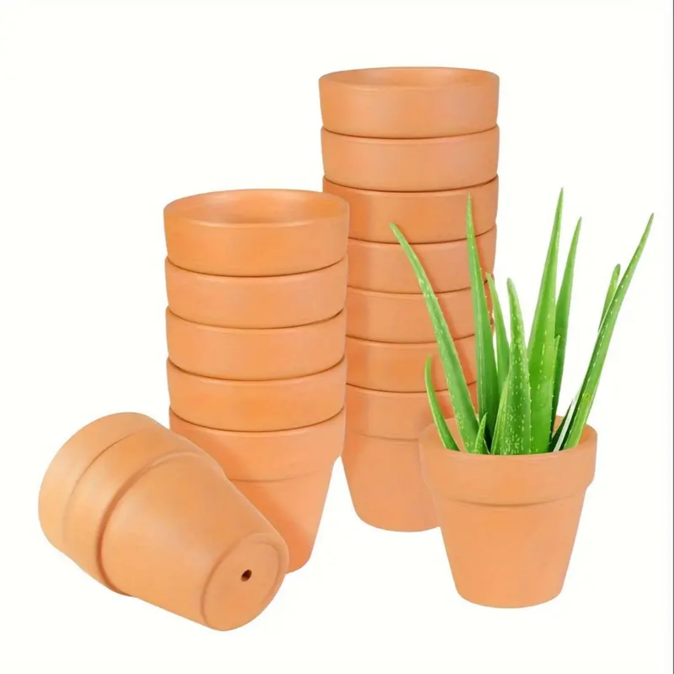 Terra Cotta Clay Pots
