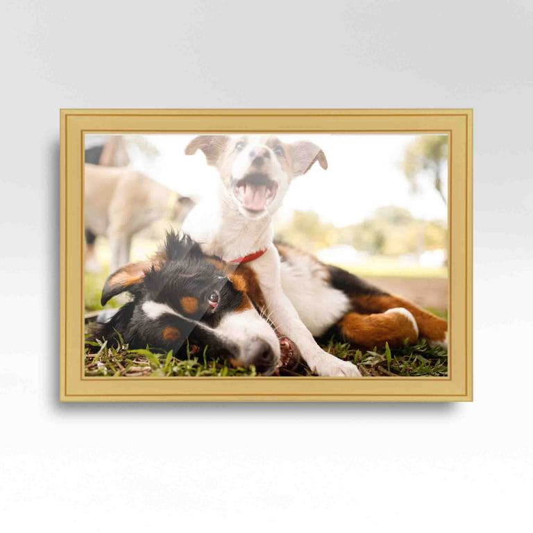 14x12 Frame Gold Real Wood Picture Frame Width 1.25 inches, Interior Frame  Depth 0.75 inches